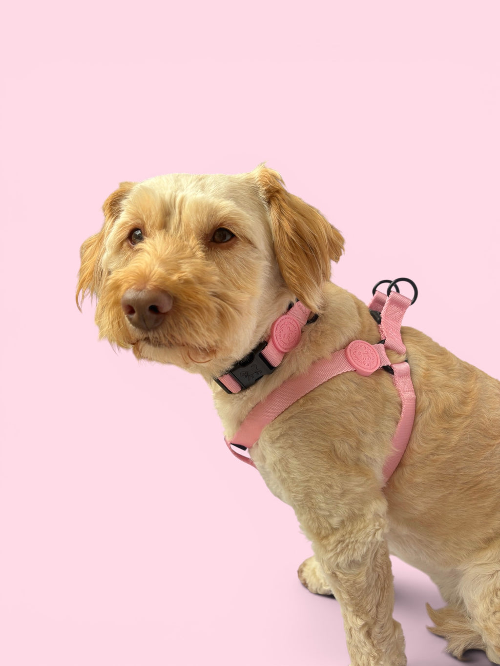 Blossom Pink Adventure Duo