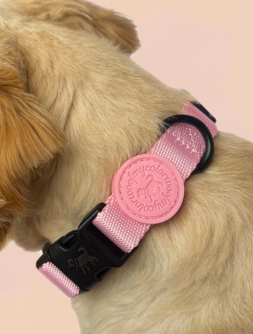 Blossom Pink Collar