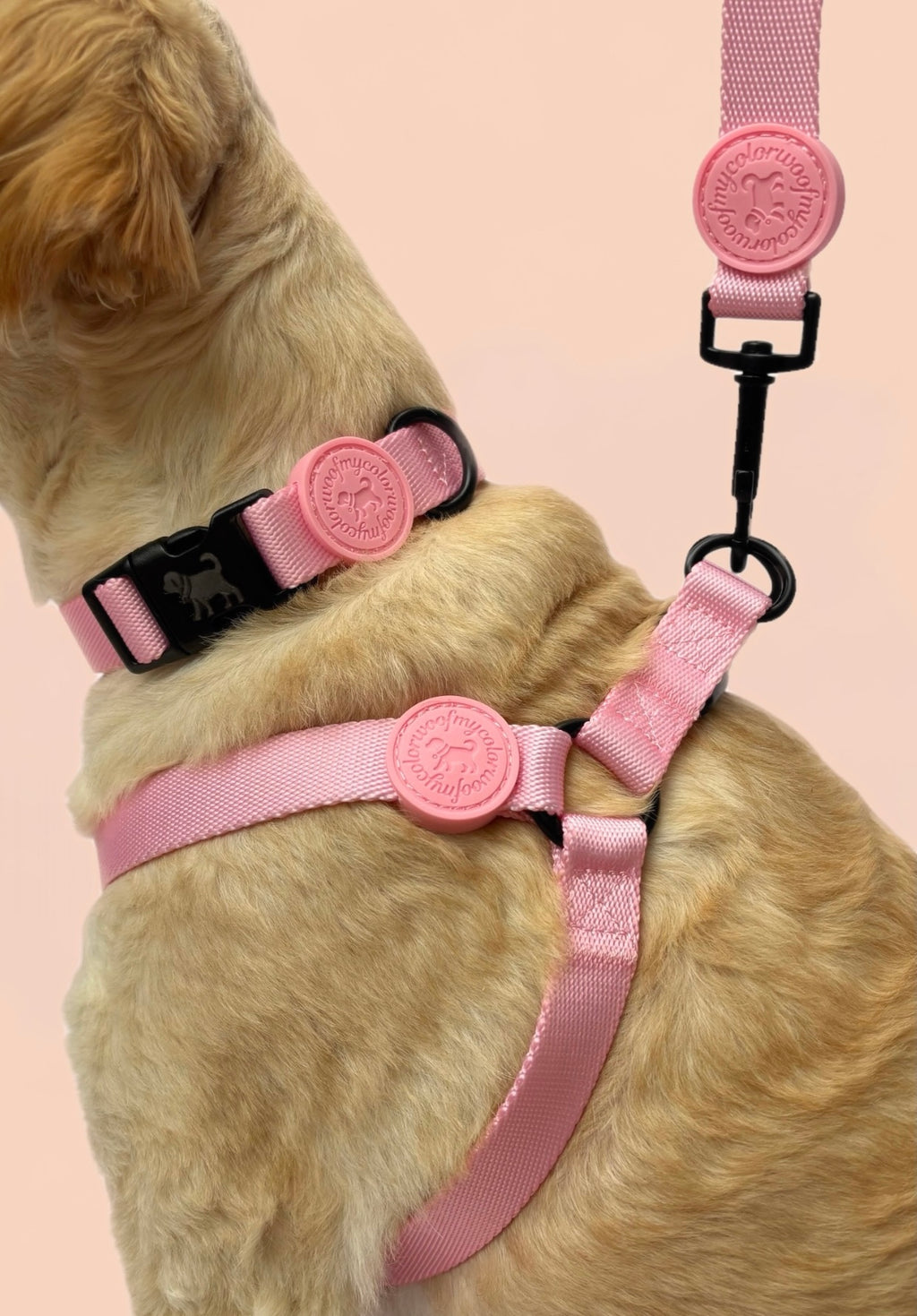 Blossom Pink Adventure Duo