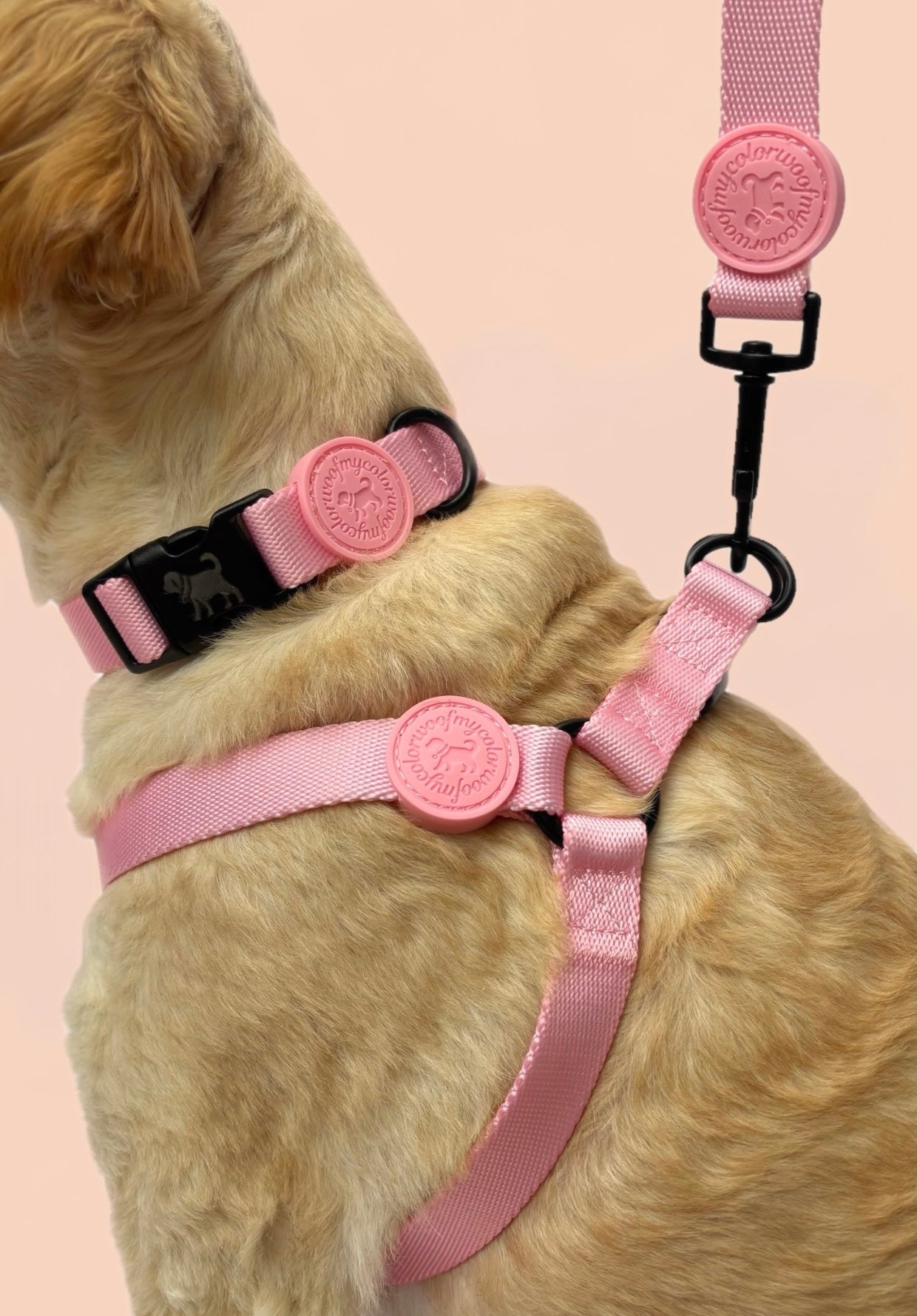 Blossom Pink Adventure Duo