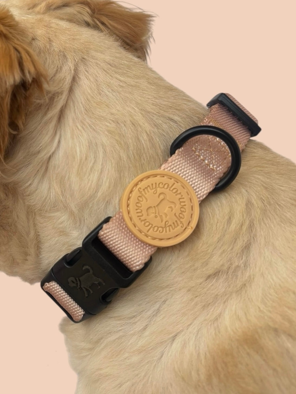 Sandy Beige Collar