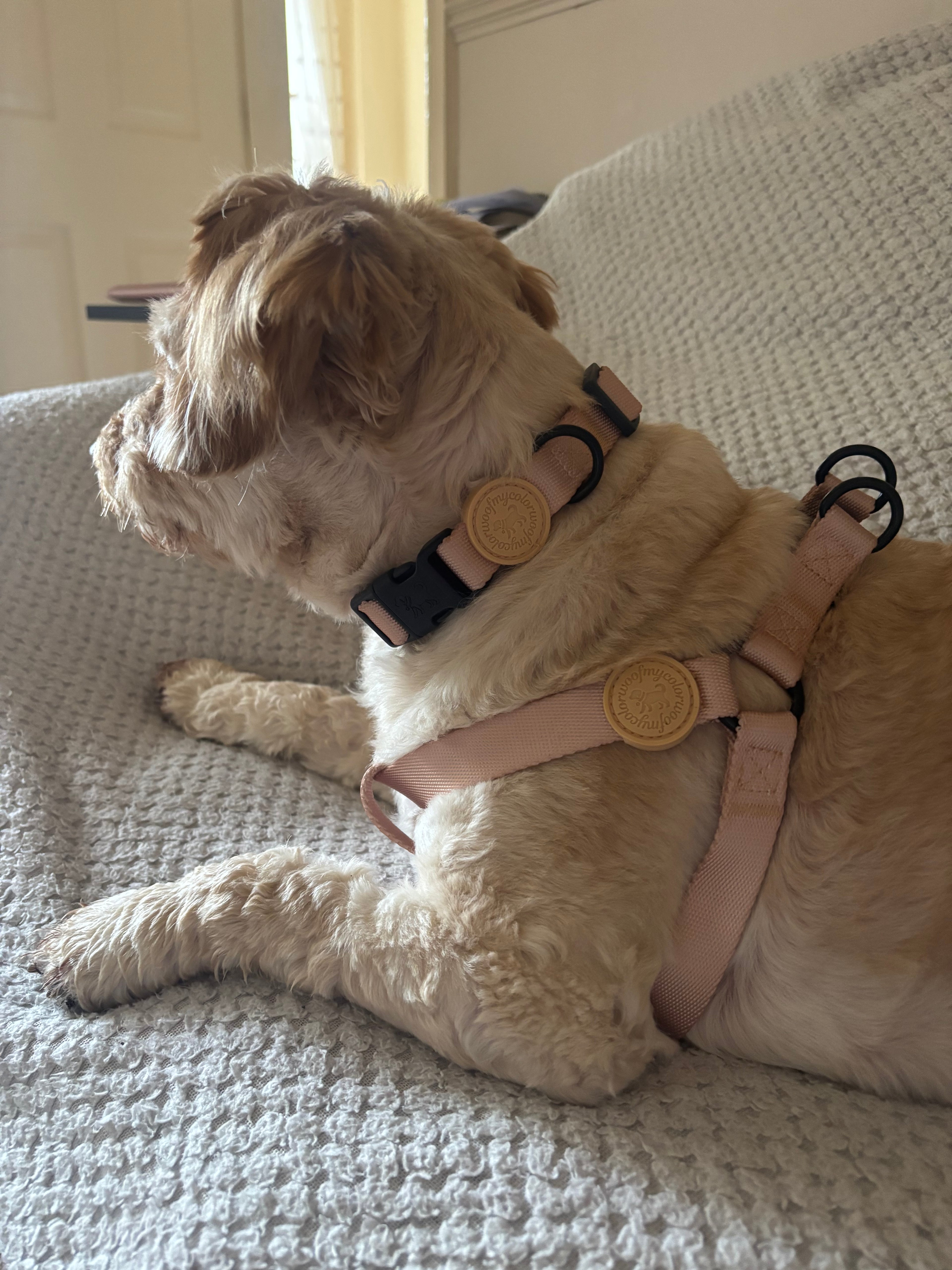 Sandy Beige Step-In Harness