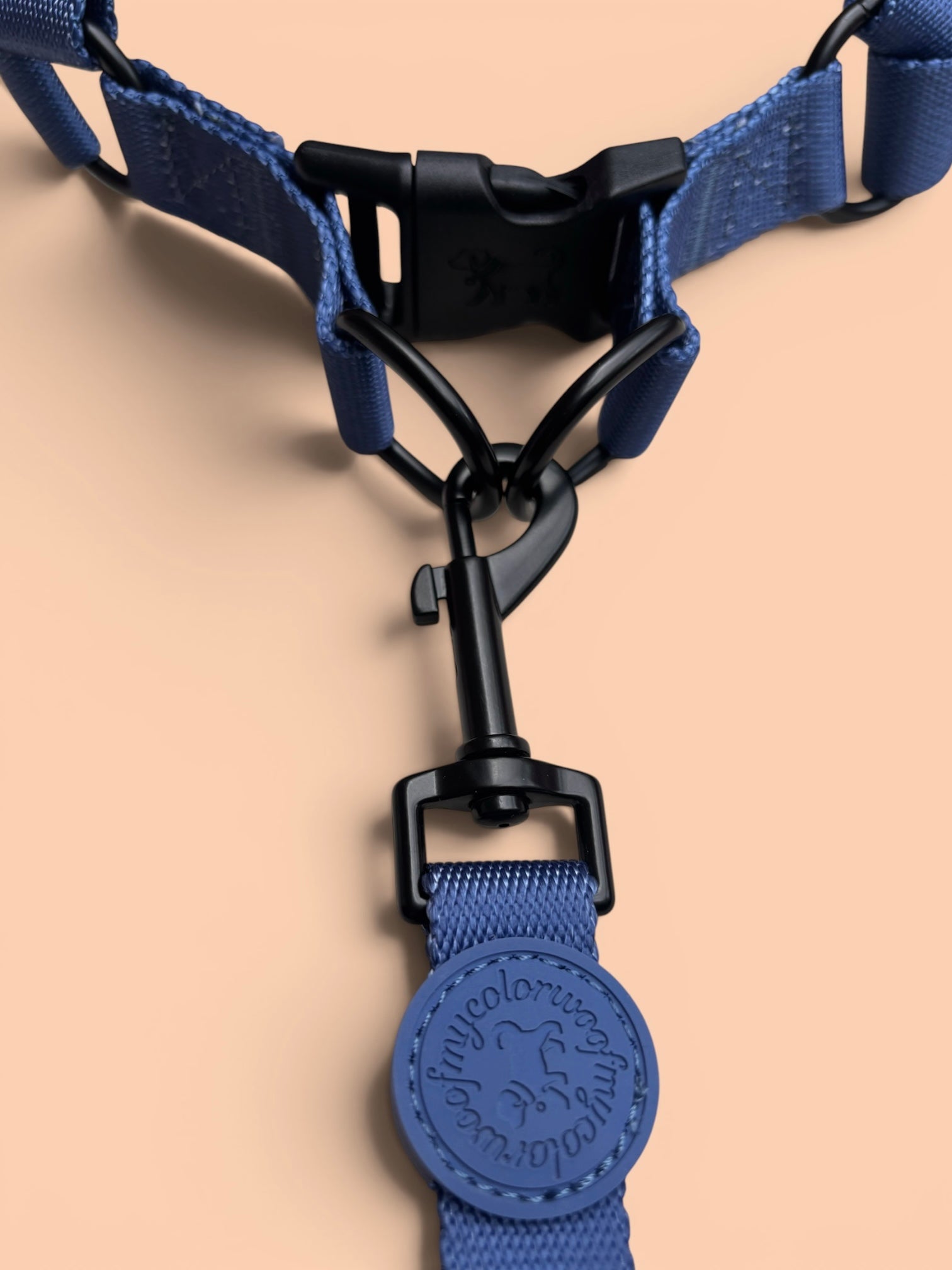 Midnight Navy Lead