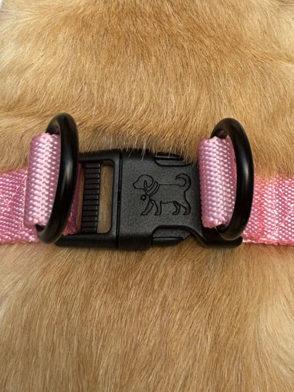Blossom Pink Adventure Duo