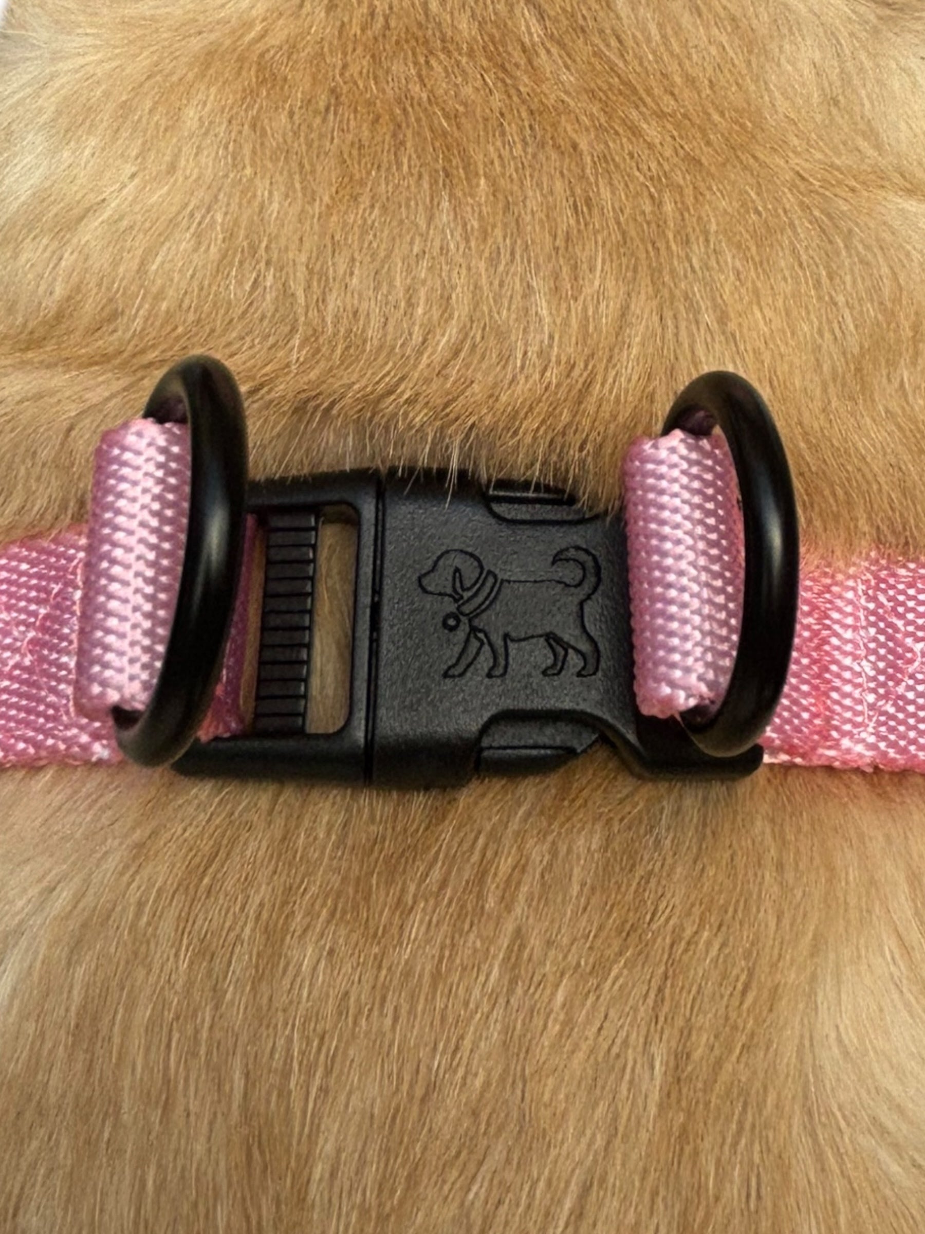 Blossom Pink Adventure Duo
