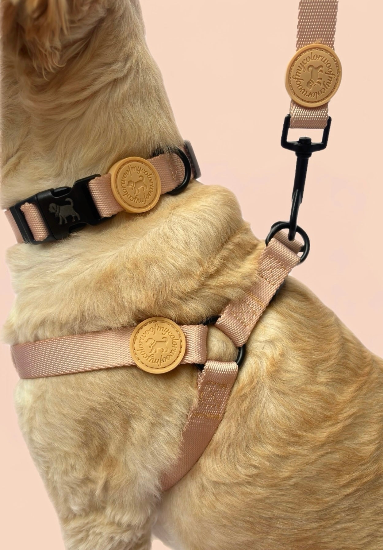 Sandy Beige Essential Trio